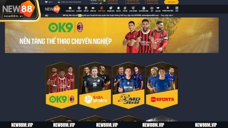 Chia sẻ chi tiết về sảnh cực thể thao NEW88 online 2025